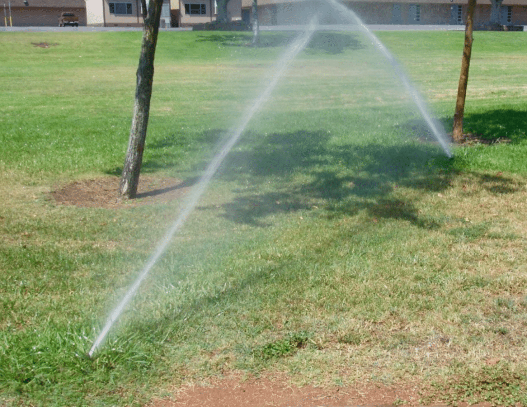 How to Spot and Stop Irrigation System Leaks In San Diego