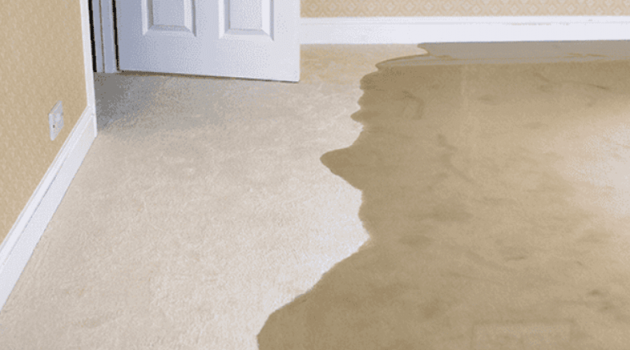 ▷7 Signs Of Plumbing Leaks Below The Foundation In San Diego