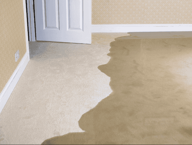 ▷7 Signs Of Plumbing Leaks Below The Foundation In San Diego