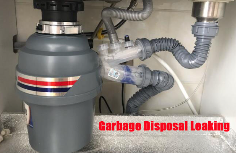 Finding A Garbage Disposal Leak In San Diego