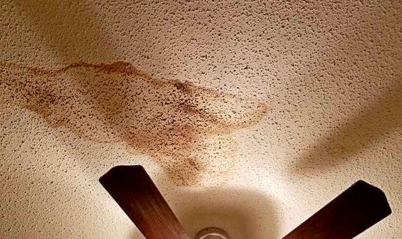 When Leaks Damage Ceiling Fans In San Diego