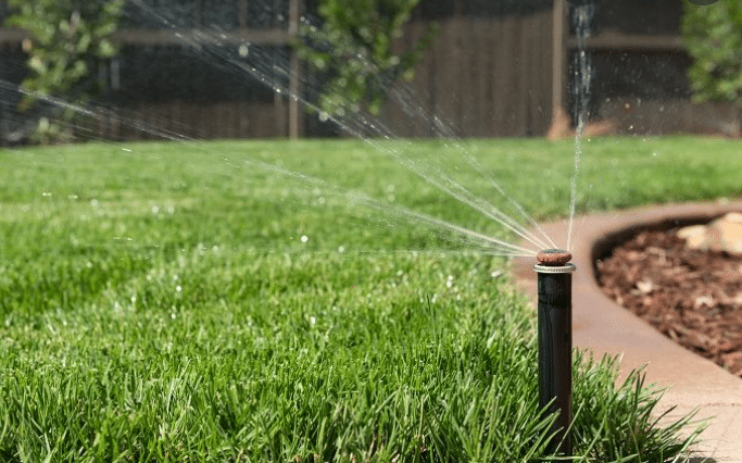 3 Telltale Signs That Your Irrigation System Is Leaking In San Diego