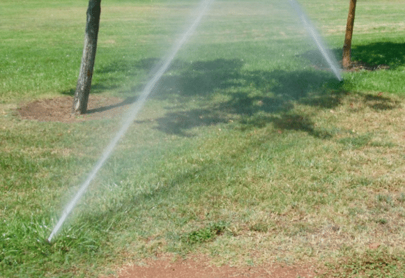 My Yard Is Wet, Is It A Sprinkler Leak Or A Sewage Leak In San Diego