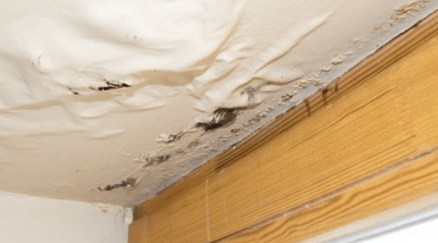 ▷3 Ways To Fix A Leaking Ceiling In San Diego