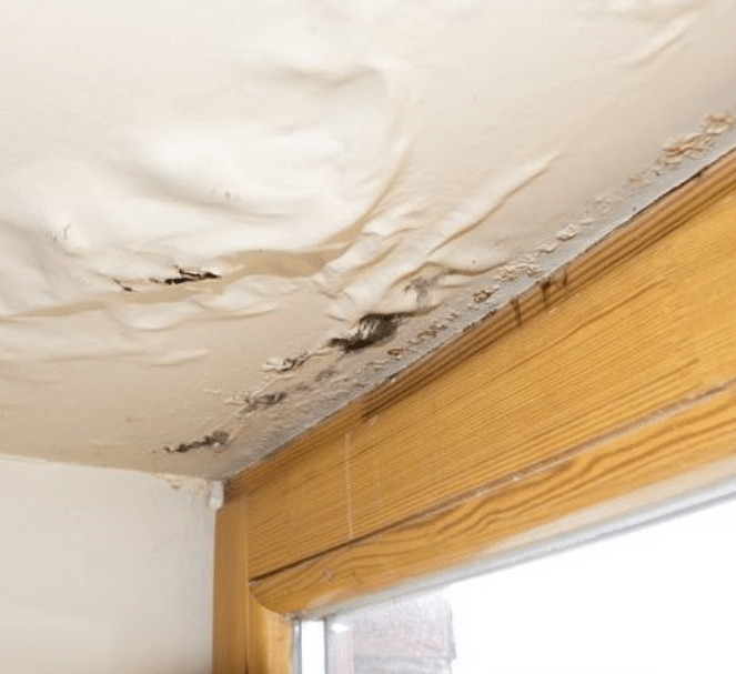 3 Ways To Fix A Leaking Ceiling In San Diego