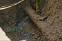 What Are The Steps In Water Leak Detection In San Diego?