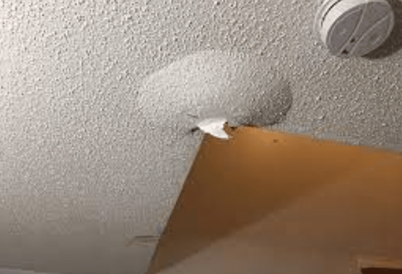 3 Ways To Fix A Leaking Ceiling In San Diego