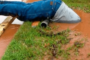 Fixing The Sewer Leak In Your Yard In San Diego