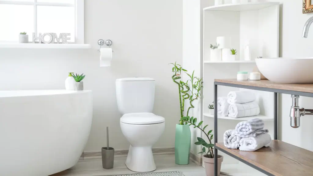 How Your Toilet Raises Water Bills In San Diego