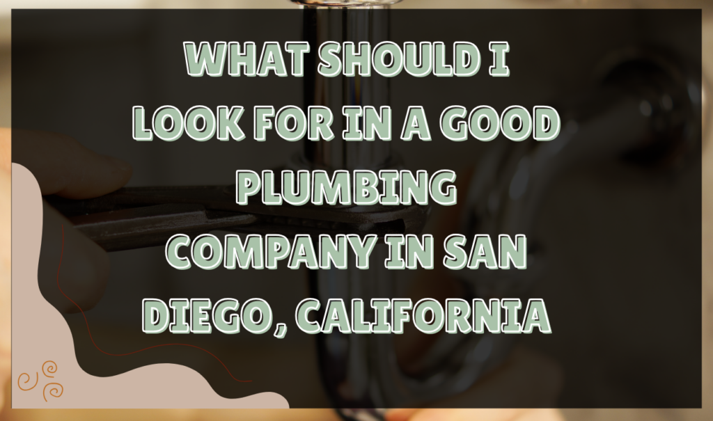 best plumbing company in San Diego reviews