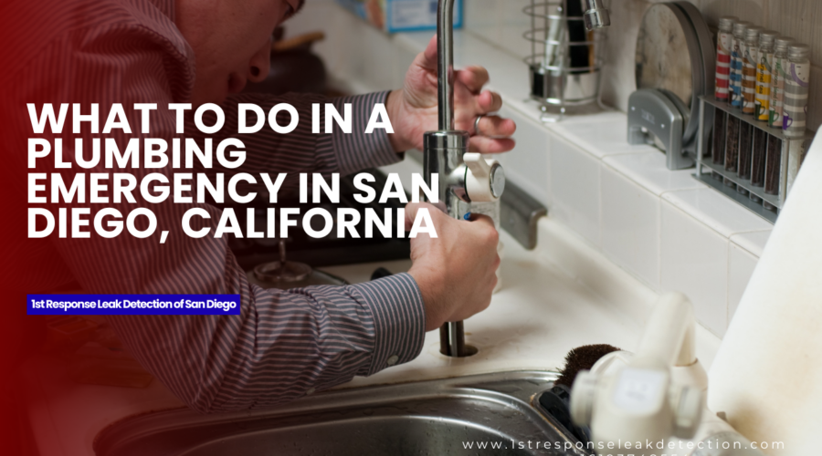 What to Do in a Plumbing Emergency in San Diego, California