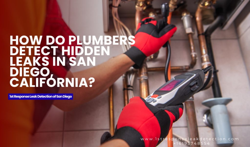 whole house plumbing inspection San Diego