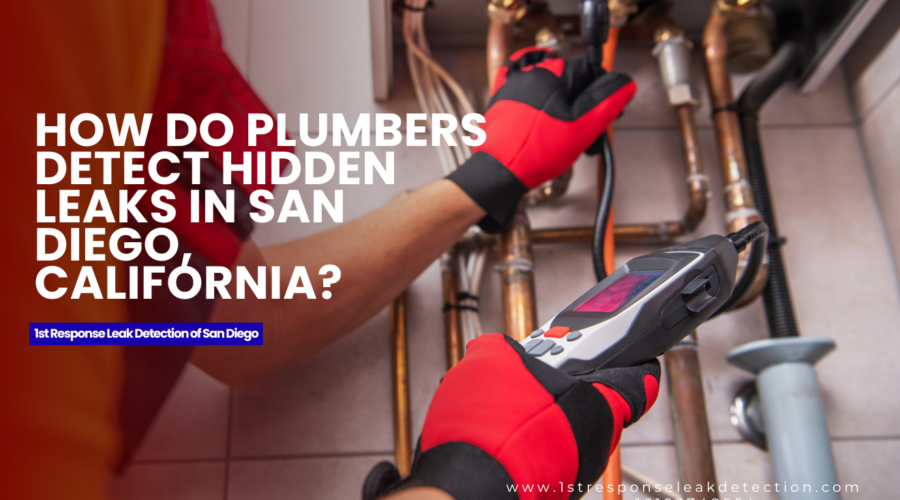 What to Expect During a Whole House Plumbing Inspection in San Diego, California