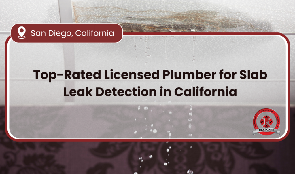 licensed plumber for slab leak detection near me